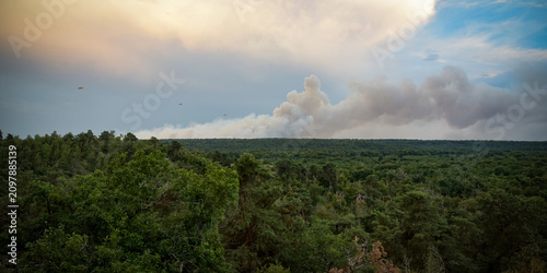 Panoramic view of the Fontainebleau forest with the fires