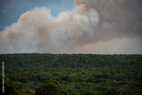 Panoramic view of the Fontainebleau forest with the fires