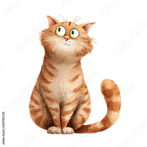 Photography Orange Tabby Cat Sitting Surprised.