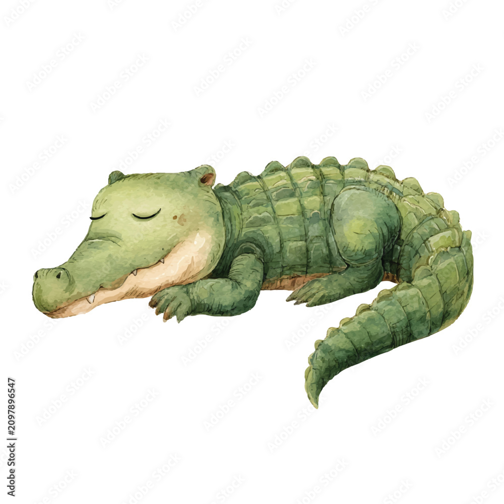 Fototapeta premium Sleeping Green Crocodile Closeup Profile View 1.