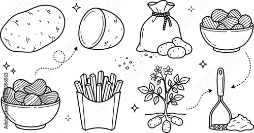 Tableau sur toile Potato vector illustration set featuring raw potatoes sack french fries chips pl