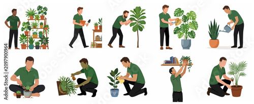 Man Taking Care of Indoor Plants Collection, Vector Illustrations of Male Character Watering, Pruning, and Potting Houseplants for Home Garden and Urban Jungle Hobby.