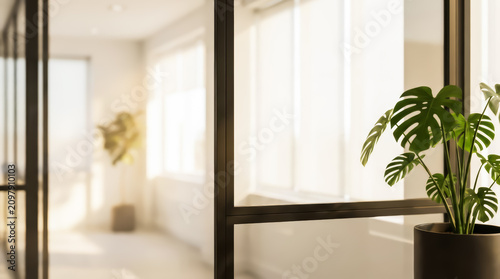 Modern office interior with a monstera plant in a black pot in the foreground