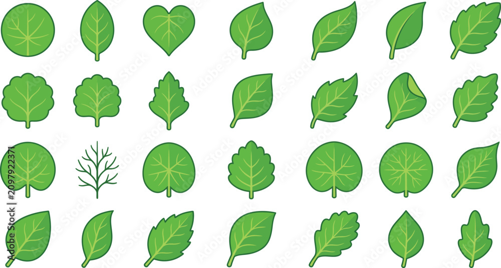 Fototapeta premium Green Leaf Icons Botanical Foliage Vector Collection