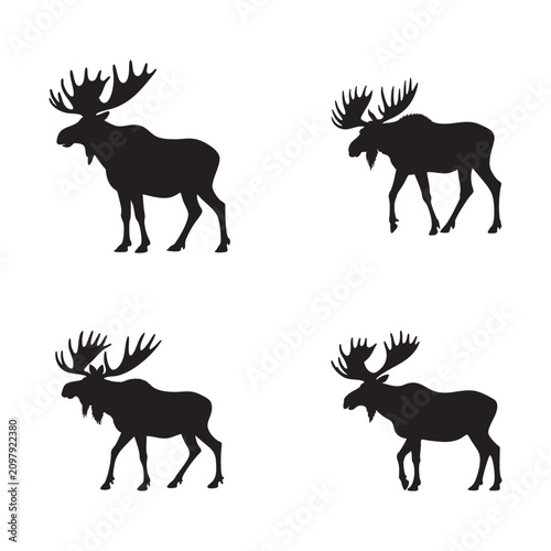 American Moose Silhouette Standing Vector Illustration