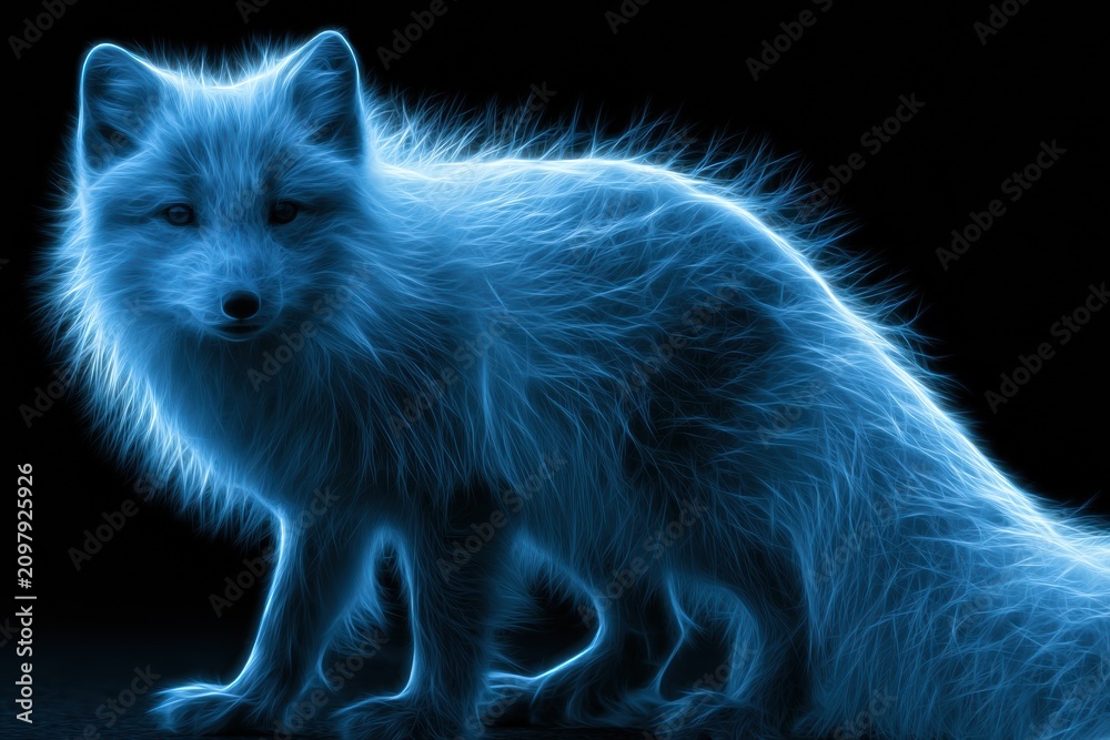 Fototapeta premium An arctic fox with a blue phase coat appears in neon glow. Its form is dark blue-grey with electric accents, set against a pure black background.