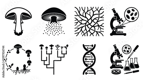 Tableau sur toile Scientific representing mycology, fungal biology, dna structure, microscope rese
