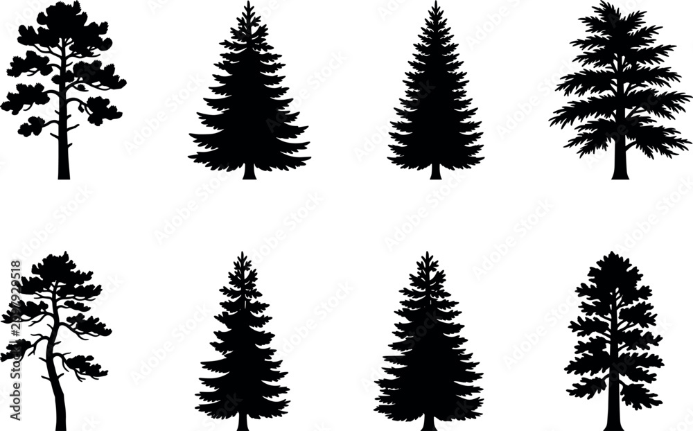 Obraz premium Coniferous Tree Silhouette Collection Featuring Pine, Spruce, and Fir Shapes
