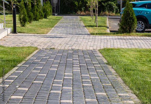 Close up of freshly cut grass clippings scattered on a paving stone path after mowing a lawn. Garden maintenance, yard backyard landscaping, lawn care and outdoor stock concept.