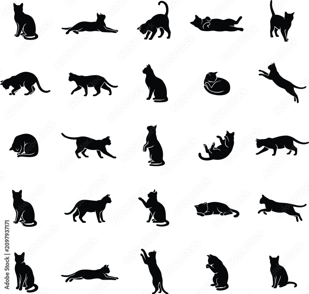 Obraz premium Set of twenty-five black cat silhouettes showing diverse feline behaviors like sitting, pouncing, stretching, and resting on a white background