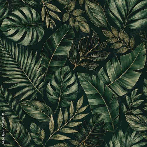 Fotografie dark green tropical leaves on black background elegant pattern trendy ethnic wea