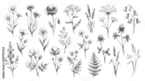 embroidery wildflower mix nature folk collection plant flora botanical flower leaf ethnic cross hatch stitched vector illustration graphic design