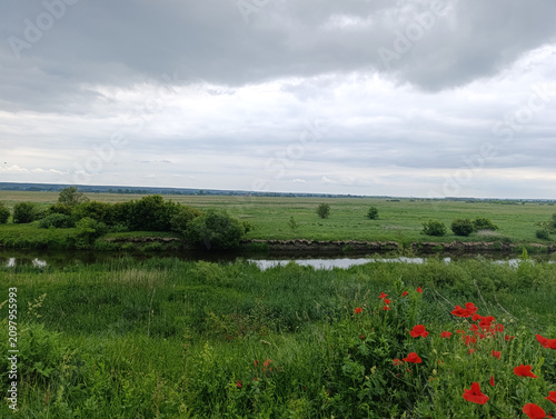 Cuadro en lienzo Scenic landscape of a calm river winding through green fields with red poppies blooming in the foreground
