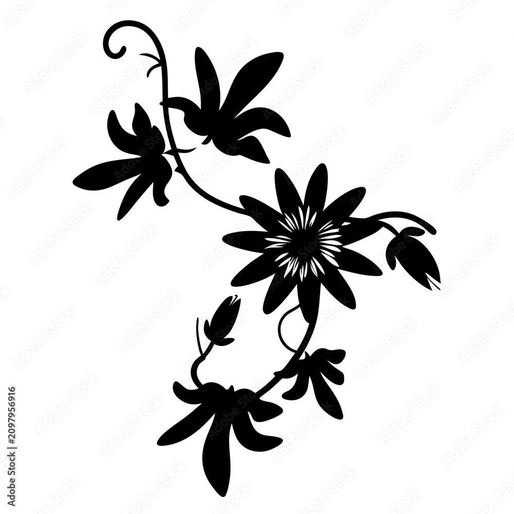 Obraz premium Elegant Black Silhouette Passion Flower Vine Vector, Botanical Floral Swirl Design, Organic Nature Element for Decorative Art and Graphic Projects