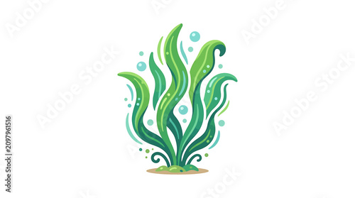 Bild auf Leinwand Seaweed plant ocean aquatic green leaf.