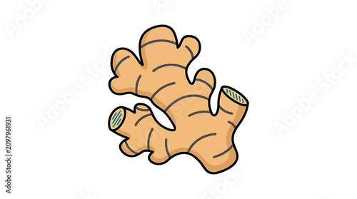 Fotografie Fresh ginger root illustration.