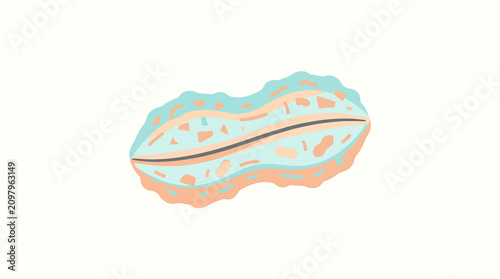 Tableau sur toile Colorful illustration of a clam shell.