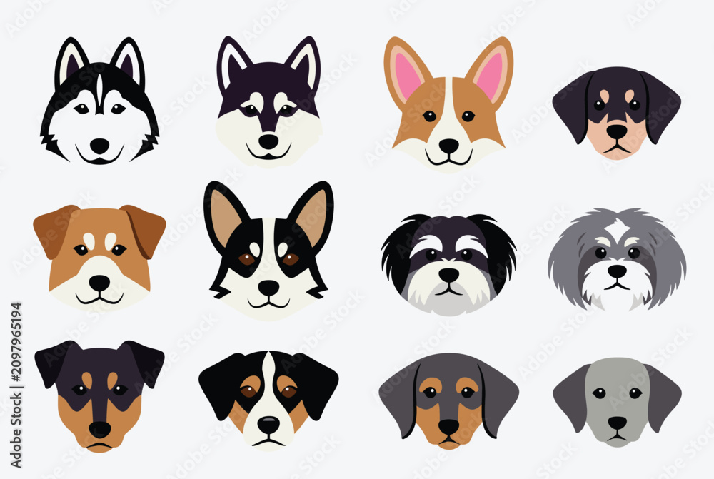 Obraz premium Collection of flat vector dog head icons representing different popular breeds like husky, corgi, and terrier.