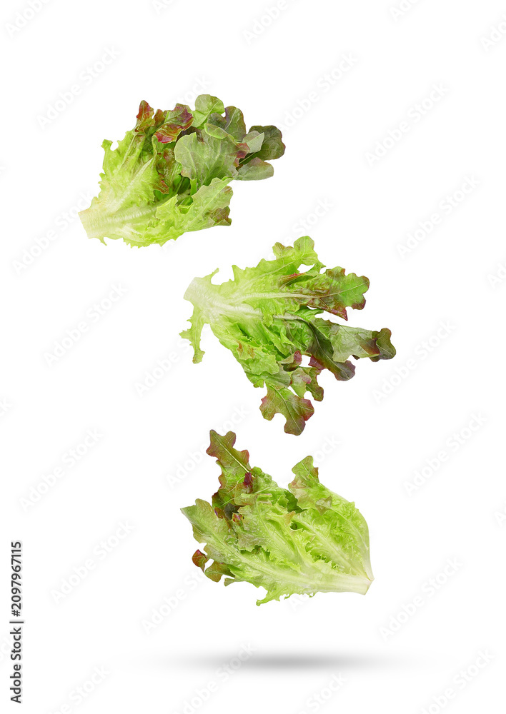 Fototapeta premium Fresh salad red lettuce leaves falling in the air isolated on transparent background. PNG