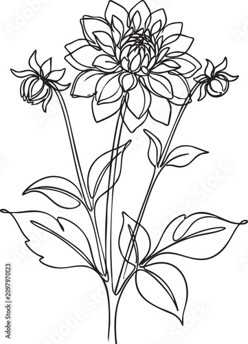 Hand drawn dahlia wild flower stem line art on a transparent background