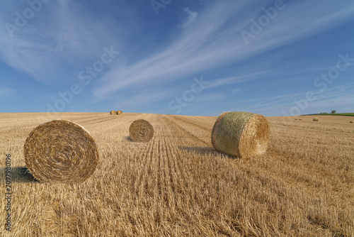 Fotografía bootes de paille ronde à perte de vue sur le champ moissonné