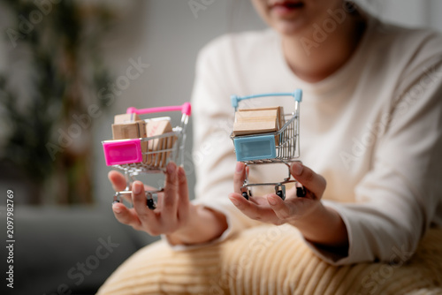 Quadro su tela Online shopping comparison concept