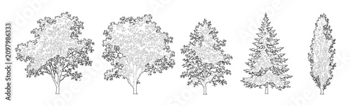 Schilderij op canvas Minimal style CAD landscape trees elevation line drawing, Front view set of deciduous, broadleaf, conifer, pine and columnar tree outline symbols for architectural landscape design