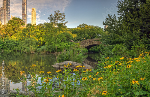 Gapstow Bridge in Central Park, early morning, summer