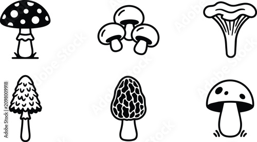 Tableau sur toile Six different mushroom varieties collection