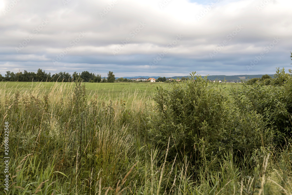 Obraz premium Countryside dirt road through a green field under cloudy sky.A winding sandy dirt road leading through a wild grassy field in the countryside. Beautiful rural landscape with distant hills, green trees