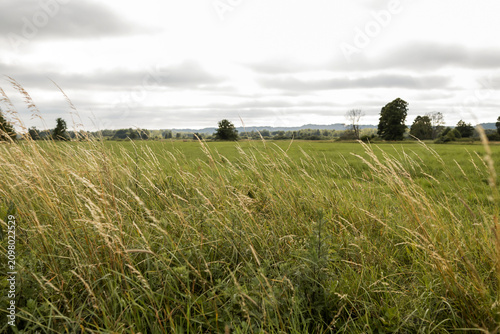 Countryside dirt road through a green field under cloudy sky.A winding sandy dirt road leading through a wild grassy field in the countryside. Beautiful rural landscape with distant hills, green trees