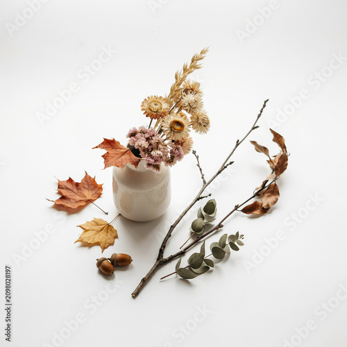 Autumn forest collection with pine cones, acorns and maple leaves. Natural fall harvest elements on white background. Seasonal organic decoration.