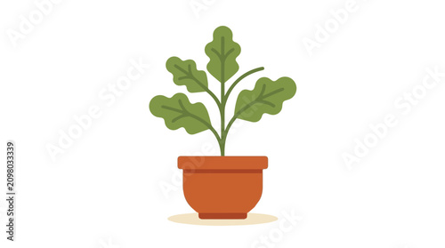 Foto Healthy potted plant with