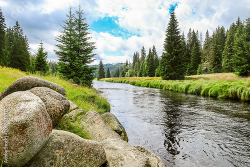 Bild auf Leinwand Calm river with granite boulders in spruce forest