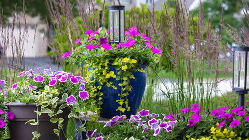 Container garden with blooming petunias, ornamental grasses, blue ceramic planter, and decorative solar lanterns creating an inviting summer patio and outdoor living space.