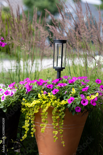 Container garden with blooming petunias, ornamental grasses, blue ceramic planter, and decorative solar lanterns creating an inviting summer patio and outdoor living space.