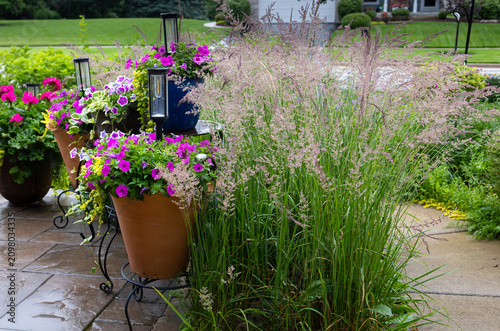 Container garden with blooming petunias, ornamental grasses, blue ceramic planter, and decorative solar lanterns creating an inviting summer patio and outdoor living space.
