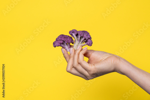 Hand holding purple cauliflower florets on yellow backdrop