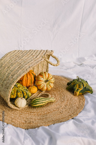 Autumn gourds spilling from woven basket on linen backdrop