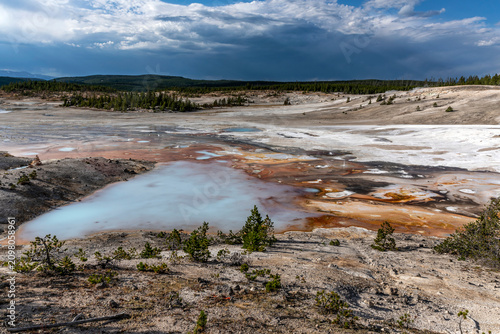 Принти на полотні Colloidal Pool's Milky Waters, Porcelain Basin, Norris Geyser Basin, Yellowstone