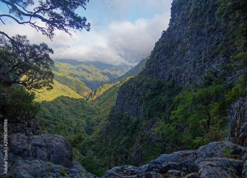 Quadro su tela Madeira green valley