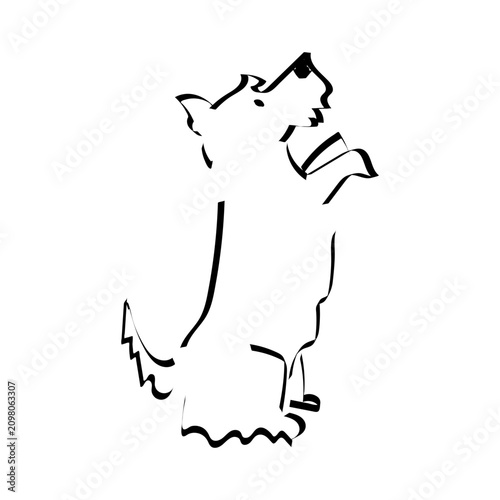 Cute ink sketch of a Scottish Terrier standing on hind legs. Simple doodle pet portrait.