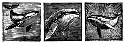 Canvastavla Whale marine animals swimming in the ocean depicted in vintage woodcut style