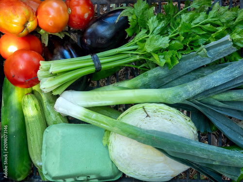 Box of freshly harvested organic vegetables.