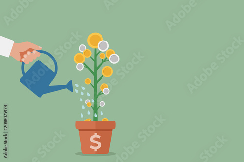 Money plant growing coins concept, savings investment economy