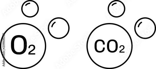 Fotografie Oxygen and carbon dioxide molecules