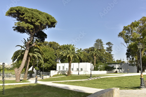 Bild auf Leinwand Le jardin de la Mendoubia avec ses chemins et arbres exotiques à Tanger au Maroc