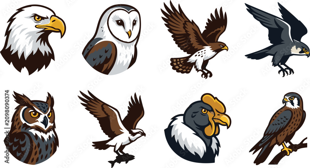 Naklejka premium Set of various predatory birds including bald eagle, owl, hawk, falcon, and vulture in detailed on white background