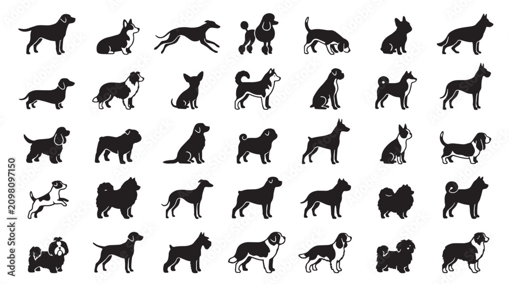 Fototapeta premium Dog breed silhouettes collection, 35 black canine icons set, minimalist pet animal vector graphics, purebred dog profile symbols for veterinary branding