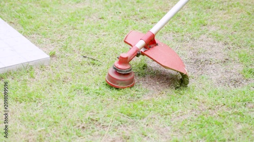 Close-Up Grass Trimmer Cutting Lawn in Garden Maintenance